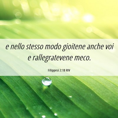 Picture 06 - Filippesi 2:18 RIV - e nello stesso modo gioitene anche voi e - Bible Verse Picture