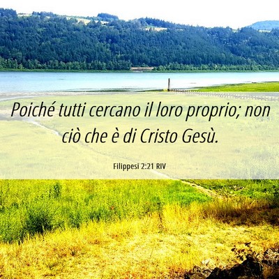 Picture 06 - Filippesi 2:21 RIV - Poiché tutti cercano il loro proprio; non ciò - Bible Verse Picture