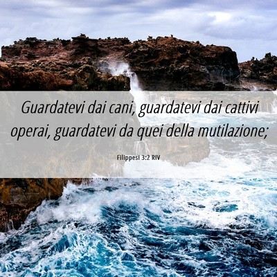 Picture 06 - Filippesi 3:2 RIV - Guardatevi dai cani, guardatevi dai cattivi - Bible Verse Picture