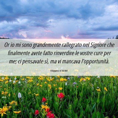 Picture 06 - Filippesi 4:10 RIV - Or io mi sono grandemente rallegrato nel Signore - Bible Verse Picture