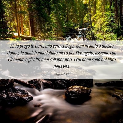 Picture 06 - Filippesi 4:3 RIV - Sì, io prego te pure, mio vero collega, vieni in - Bible Verse Picture