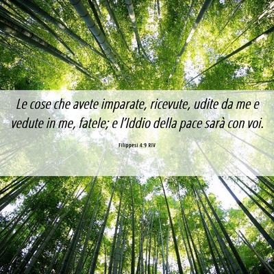 Picture 06 - Filippesi 4:9 RIV - Le cose che avete imparate, ricevute, udite da me - Bible Verse Picture