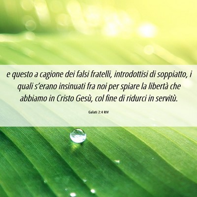 Picture 06 - Galati 2:4 RIV - e questo a cagione dei falsi fratelli, - Bible Verse Picture