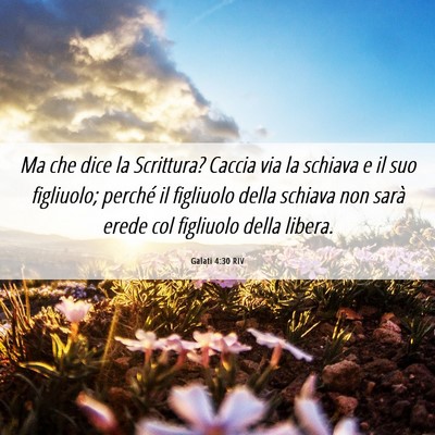 Picture 06 - Galati 4:30 RIV - Ma che dice la Scrittura? Caccia via la schiava e - Bible Verse Picture