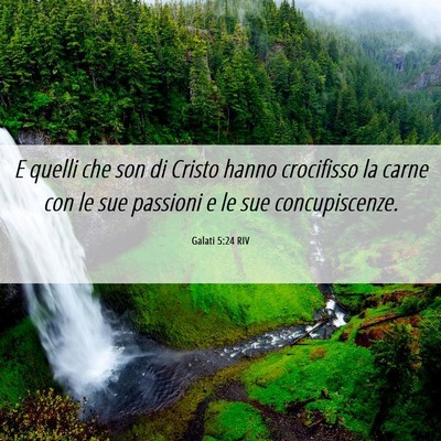Picture 06 - Galati 5:24 RIV - E quelli che son di Cristo hanno crocifisso la - Bible Verse Picture