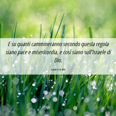 Picture 06 - Galati 6:16 RIV - E su quanti cammineranno secondo questa regola - Bible Verse Picture