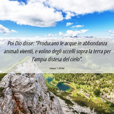 Picture 06 - Genesi 1:20 RIV - Poi Dio disse: “Producano le acque in - Bible Verse Picture