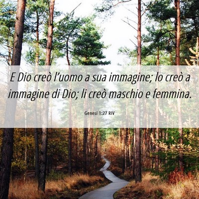Picture 06 - Genesi 1:27 RIV - E Dio creò l’uomo a sua immagine; lo creò a - Bible Verse Picture