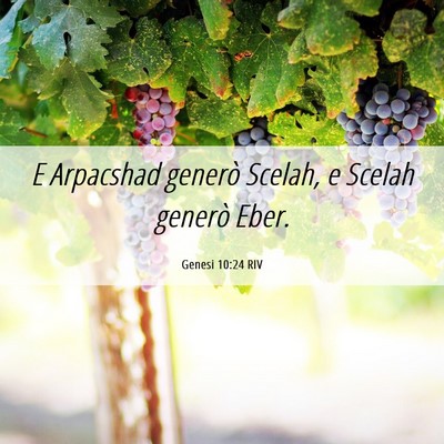 Picture 06 - Genesi 10:24 RIV - E Arpacshad generò Scelah, e Scelah generò - Bible Verse Picture