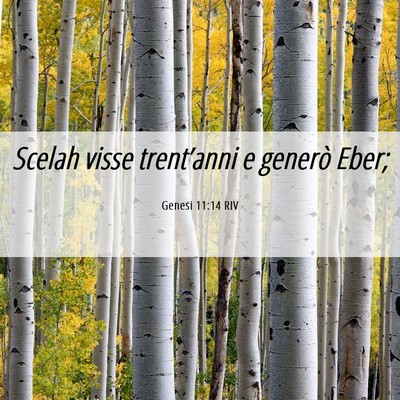 Picture 06 - Genesi 11:14 RIV - Scelah visse trent’anni e generò - Bible Verse Picture