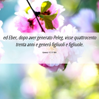 Picture 06 - Genesi 11:17 RIV - ed Eber, dopo aver generato Peleg, visse - Bible Verse Picture