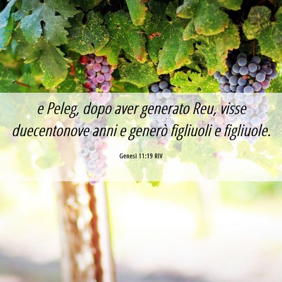 Picture 06 - Genesi 11:19 RIV - e Peleg, dopo aver generato Reu, visse - Bible Verse Picture