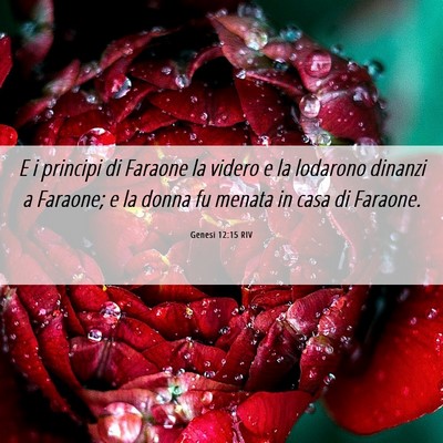 Picture 06 - Genesi 12:15 RIV - E i principi di Faraone la videro e la lodarono - Bible Verse Picture