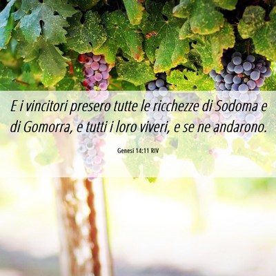 Picture 06 - Genesi 14:11 RIV - E i vincitori presero tutte le ricchezze di - Bible Verse Picture