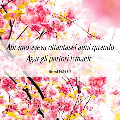 Picture 06 - Genesi 16:16 RIV - Abramo aveva ottantasei anni quando Agar gli - Bible Verse Picture