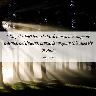 Picture 06 - Genesi 16:7 RIV - E l’angelo dell’Eterno la trovò presso una - Bible Verse Picture
