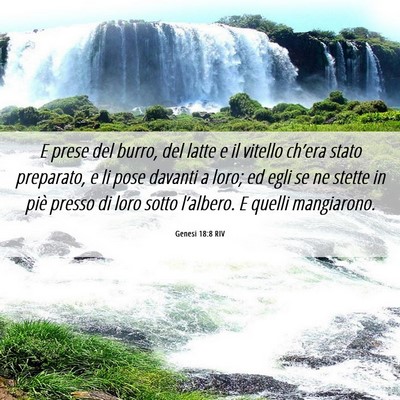 Picture 06 - Genesi 18:8 RIV - E prese del burro, del latte e il vitello - Bible Verse Picture