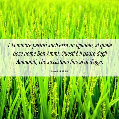 Picture 06 - Genesi 19:38 RIV - E la minore partorì anch’essa un figliuolo, al - Bible Verse Picture