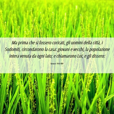 Picture 06 - Genesi 19:4 RIV - Ma prima che si fossero coricati, gli uomini - Bible Verse Picture