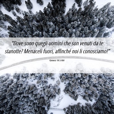 Picture 06 - Genesi 19:5 RIV - “Dove sono quegli uomini che son venuti da te - Bible Verse Picture