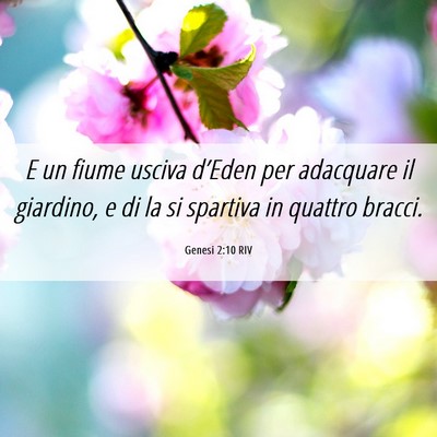 Picture 06 - Genesi 2:10 RIV - E un fiume usciva d’Eden per adacquare il - Bible Verse Picture