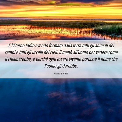 Picture 06 - Genesi 2:19 RIV - E l’Eterno Iddio avendo formato dalla terra - Bible Verse Picture