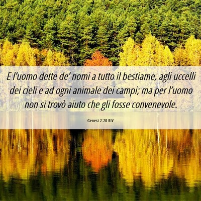 Picture 06 - Genesi 2:20 RIV - E l’uomo dette de’ nomi a tutto il bestiame, - Bible Verse Picture