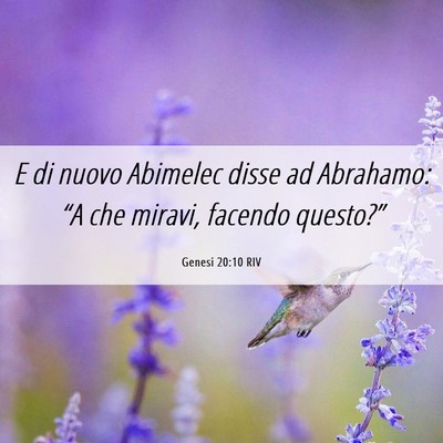 Picture 06 - Genesi 20:10 RIV - E di nuovo Abimelec disse ad Abrahamo: “A che - Bible Verse Picture