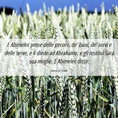 Picture 06 - Genesi 20:14 RIV - E Abimelec prese delle pecore, de’ buoi, de’ - Bible Verse Picture