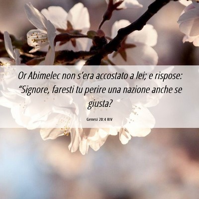 Picture 06 - Genesi 20:4 RIV - Or Abimelec non s’era accostato a lei; e - Bible Verse Picture
