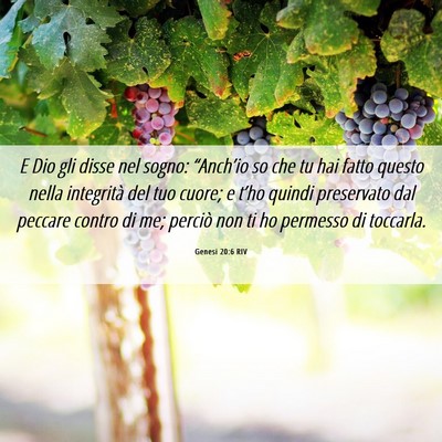 Picture 06 - Genesi 20:6 RIV - E Dio gli disse nel sogno: “Anch’io so che tu - Bible Verse Picture