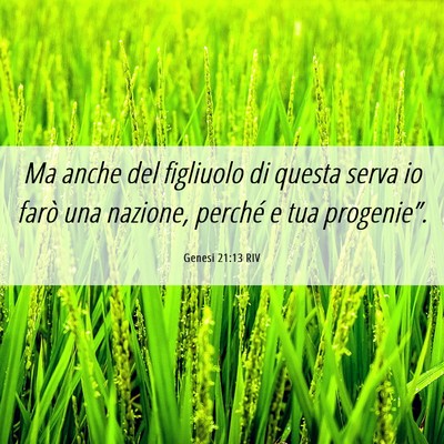 Picture 06 - Genesi 21:13 RIV - Ma anche del figliuolo di questa serva io farò - Bible Verse Picture