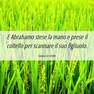 Picture 06 - Genesi 22:10 RIV - E Abrahamo stese la mano e prese il coltello per - Bible Verse Picture
