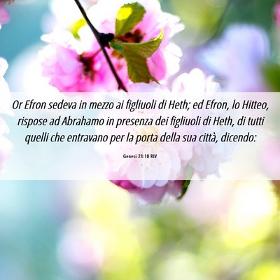 Picture 06 - Genesi 23:10 RIV - Or Efron sedeva in mezzo ai figliuoli di Heth; ed - Bible Verse Picture