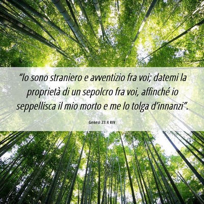 Picture 06 - Genesi 23:4 RIV - “Io sono straniero e avventizio fra voi; datemi - Bible Verse Picture