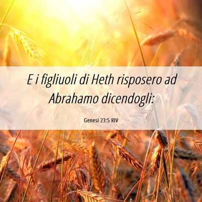 Picture 06 - Genesi 23:5 RIV - E i figliuoli di Heth risposero ad Abrahamo - Bible Verse Picture