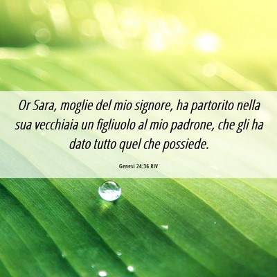 Picture 06 - Genesi 24:36 RIV - Or Sara, moglie del mio signore, ha partorito - Bible Verse Picture
