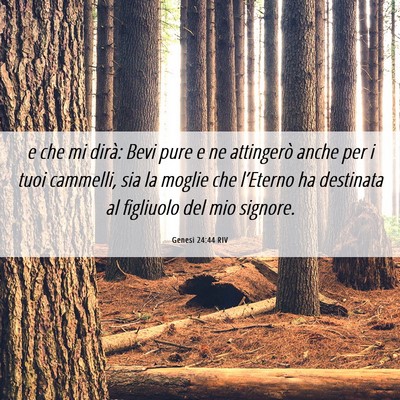 Picture 06 - Genesi 24:44 RIV - e che mi dirà: Bevi pure e ne attingerò anche - Bible Verse Picture