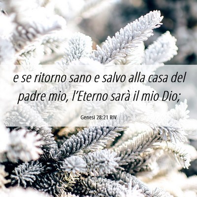 Picture 06 - Genesi 28:21 RIV - e se ritorno sano e salvo alla casa del padre - Bible Verse Picture