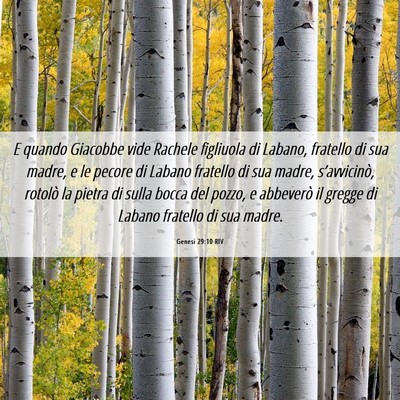 Picture 06 - Genesi 29:10 RIV - E quando Giacobbe vide Rachele figliuola di - Bible Verse Picture
