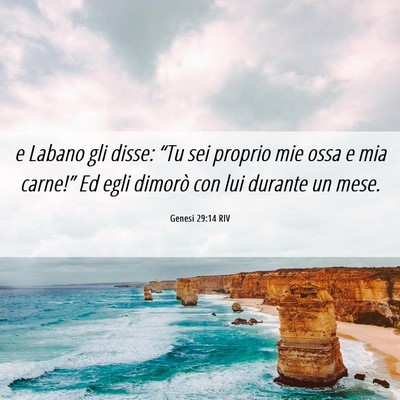 Picture 06 - Genesi 29:14 RIV - e Labano gli disse: “Tu sei proprio mie ossa e - Bible Verse Picture