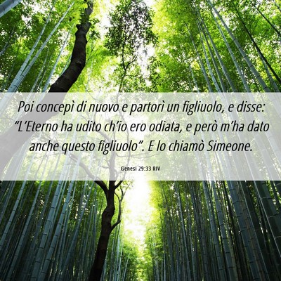 Picture 06 - Genesi 29:33 RIV - Poi concepì di nuovo e partorì un figliuolo, e - Bible Verse Picture