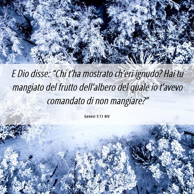 Picture 06 - Genesi 3:11 RIV - E Dio disse: “Chi t’ha mostrato ch’eri - Bible Verse Picture