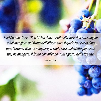 Picture 06 - Genesi 3:17 RIV - E ad Adamo disse: “Perché hai dato ascolto - Bible Verse Picture