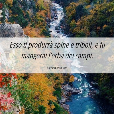 Picture 06 - Genesi 3:18 RIV - Esso ti produrrà spine e triboli, e tu mangerai - Bible Verse Picture