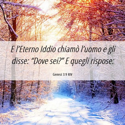 Picture 06 - Genesi 3:9 RIV - E l’Eterno Iddio chiamò l’uomo e gli disse: - Bible Verse Picture