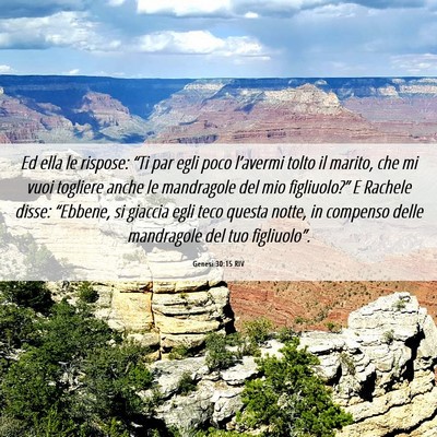 Picture 06 - Genesi 30:15 RIV - Ed ella le rispose: “Ti par egli poco - Bible Verse Picture