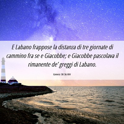 Picture 06 - Genesi 30:36 RIV - E Labano frappose la distanza di tre giornate di - Bible Verse Picture