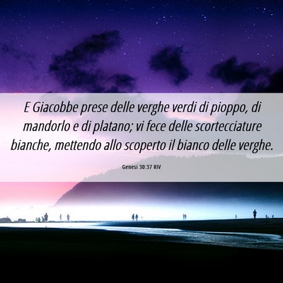 Picture 06 - Genesi 30:37 RIV - E Giacobbe prese delle verghe verdi di pioppo, di - Bible Verse Picture