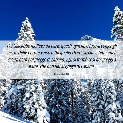 Picture 06 - Genesi 30:40 RIV - Poi Giacobbe metteva da parte questi agnelli, e - Bible Verse Picture
